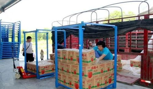 永州嘉信冷鏈倉儲物流中心正式開業(yè)，助推區(qū)域物流體系升級